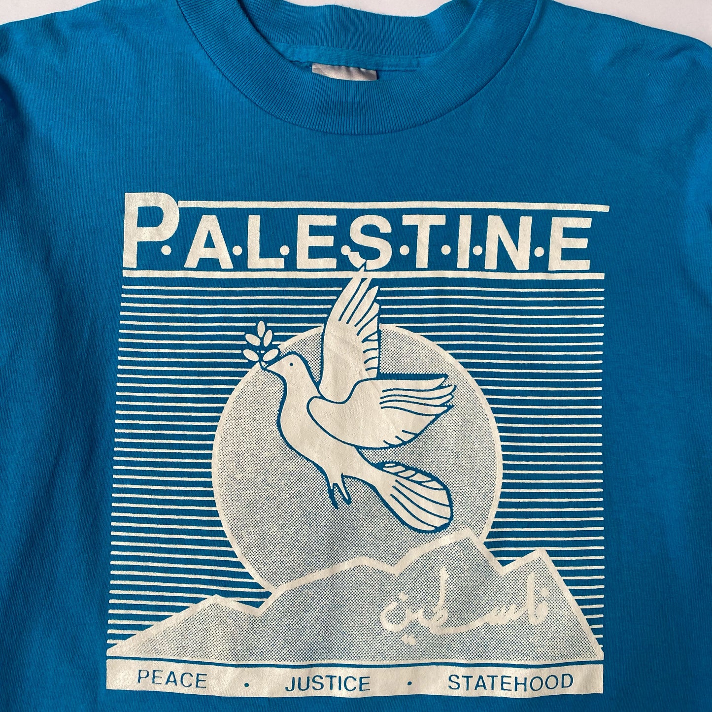 90's Palestine Graphic Longsleeve Tshirt in Blue - L